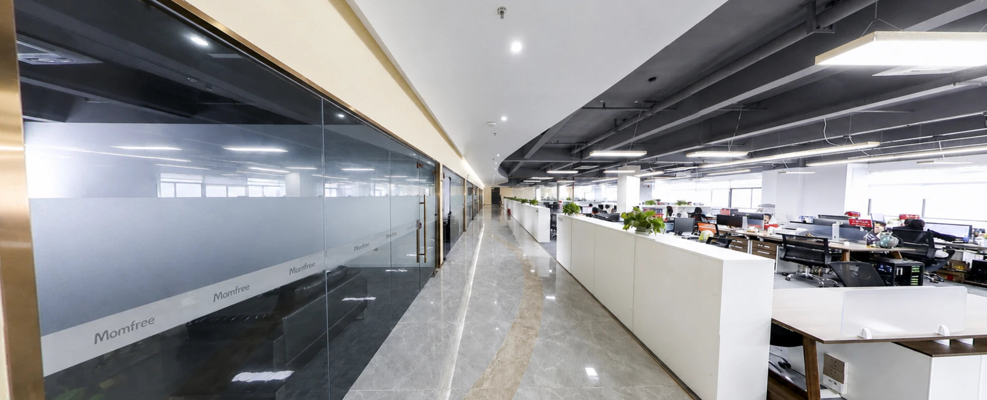 Momfree research, product development and operations team working in the company office